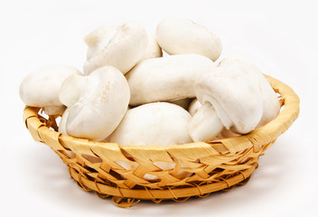 Champignon mushroom white agaricus in the basket