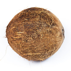 Coconuts on white background