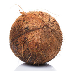 Coconuts on white background