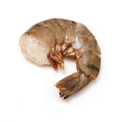 Tiger prawn or Asian tiger shrimp. Isolated on a white studio ba