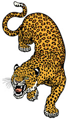 Naklejka premium leopard