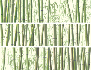 Fototapeta na wymiar Set of horizontal banner with many bamboos.