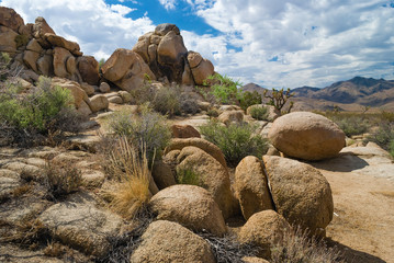 Fototapeta na wymiar Mojave Desert Landscape