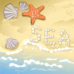 Obraz na płótnie Canvas background of sea and beach, starfish and seashells