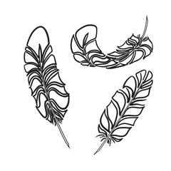 Obraz premium Feathers sketch style. Vector illustration