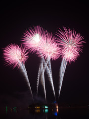 colorful  fireworks on the black sky background