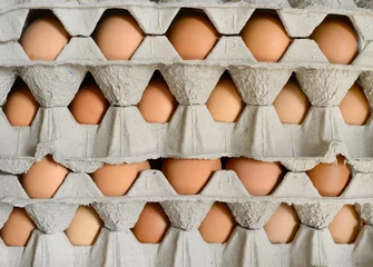 Abwaschbare Fototapete eggs in cartons © antpkr