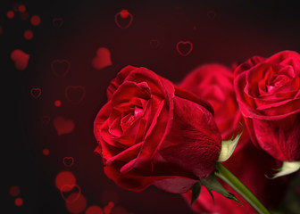 Obraz na płótnie Canvas Red roses