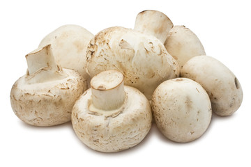 Champignon mushrooms