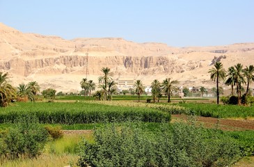 Mortuary Temple of Hatshepsut, near Luxor, Egypt. 