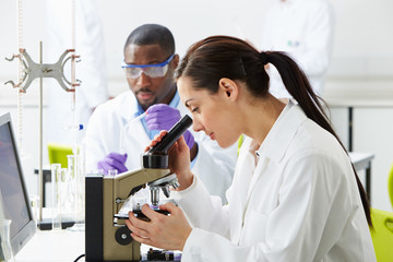 Technicians Carrying Out Research In Laboratory