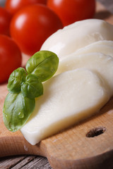 sliced ​​mozzarella and green basil and red cherry tomatoes