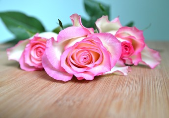 Fototapeta na wymiar Różowe róże na drewna z miejsca kopiowania