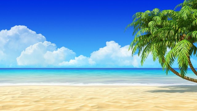 Palms on empty tropical sand beach. Travel, holidays, resort.