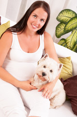 Happy pregnant woman with west highland white terrier relaxing o