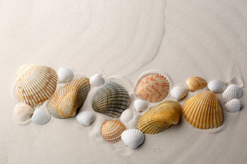 Sea shells on sand.