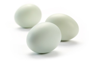 Eggs on white background