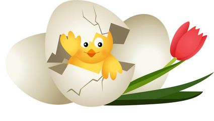 Easter egg chicken and tulip