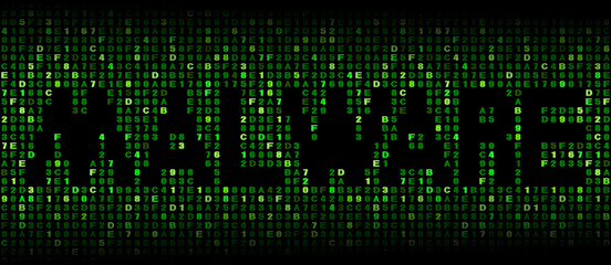 Malware text on hex code illustration