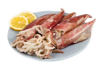 calamri freschi