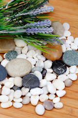 River rocks with lavender flowers