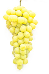 White grape cluster