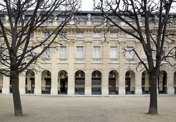 jardin du palais royal en hiver (Paris France)