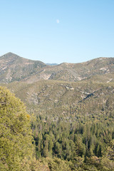 Obraz premium Sequoia National Forest