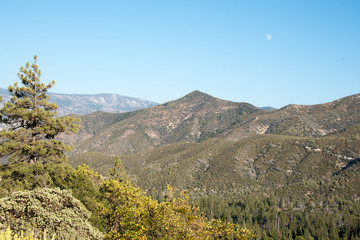 Kern Valley California