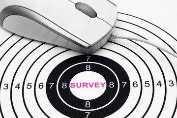Web survey target