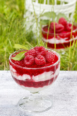 Layer raspberry dessert on garden party table. Lush grass