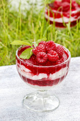 Layer raspberry dessert on garden party table. Lush grass