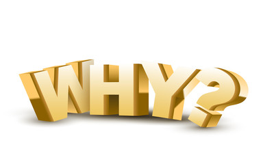 3d "why" text