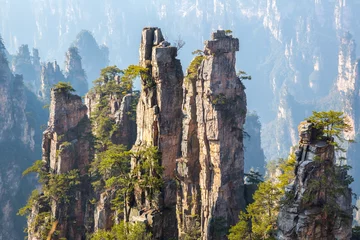 Crédence en verre imprimé Chine Forêt nationale de Zhangjiajie Chine