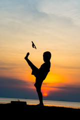 Fototapeta premium silhouette boy