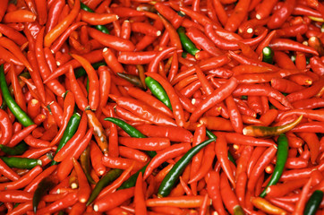 Red chili pepper