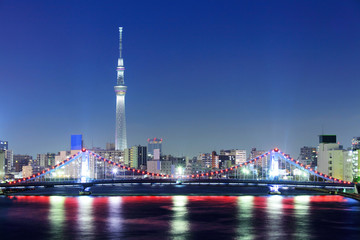 Obraz premium Tokyo skyline
