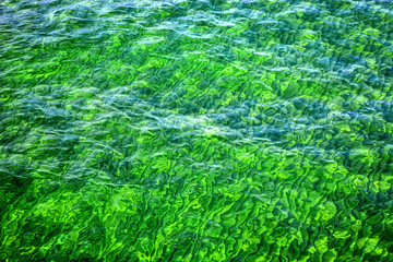 Fototapeta na wymiar A sea of green water gently rippling.