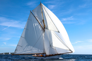 Fototapeta premium régates