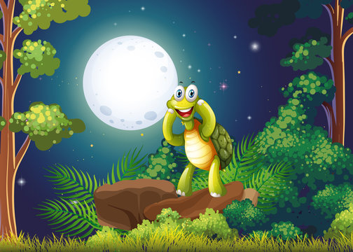 A smiling turtle at the forest in the middle of the night