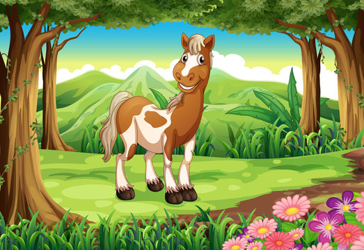 A forest with a smiling horse