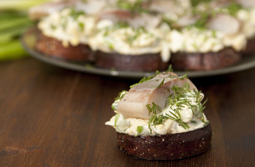 Herring fillet on toasted rye bread and salad with eggs, green o