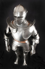 Fototapeta premium Armour