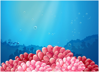 Fototapeta na wymiar Pink corals under the sea