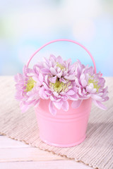 Beautiful chrysanthemum flowers in bucket