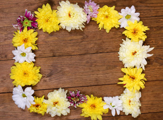 Beautiful chrysanthemum flowers on wooden background