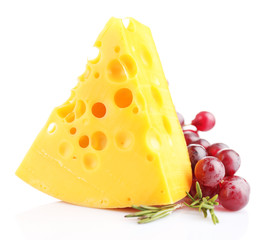 Piece of cheese with grape and rosemary, isolated on white