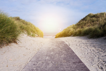 weg in den dünen und sonne