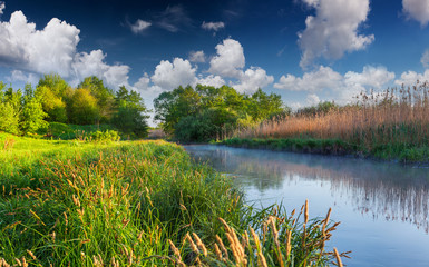 Colorful spring landscape on the misty river