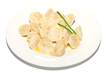 Delicious hot dumplings with meat and sauce on plate